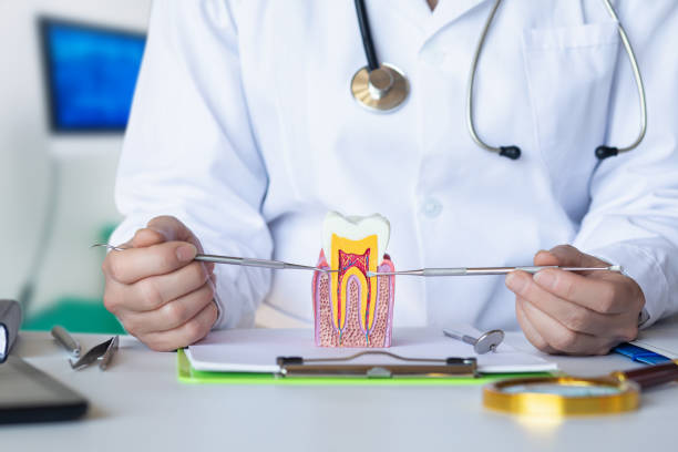 Best Mobile Emergency Dentist in Ransom Canyon, TX